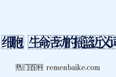 细胞：生命活动的摇篮近义词是什么意思的图片